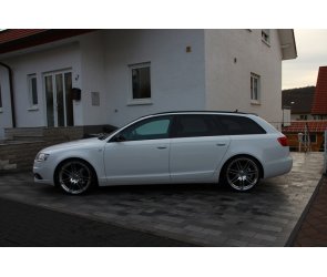 Eibach Tieferlegungsfedern Sportline für Audi A6 Typ 4F/C6 (Avant) 